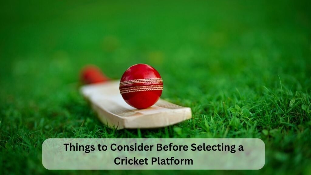 Things to Consider Before Selecting a Cricket Platform