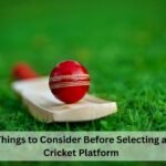 Things to Consider Before Selecting a Cricket Platform